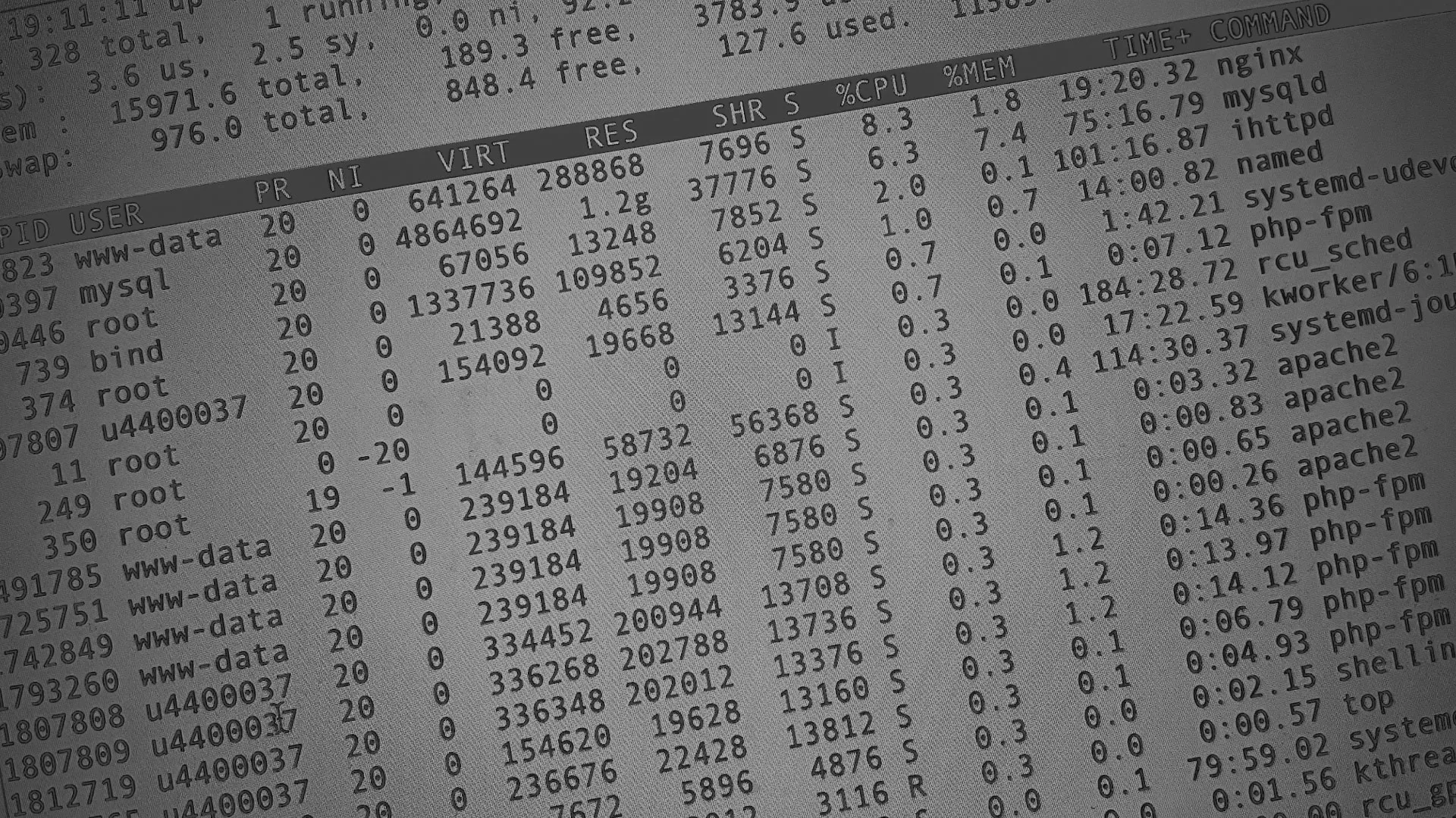 Настройка сервера в Когалыме